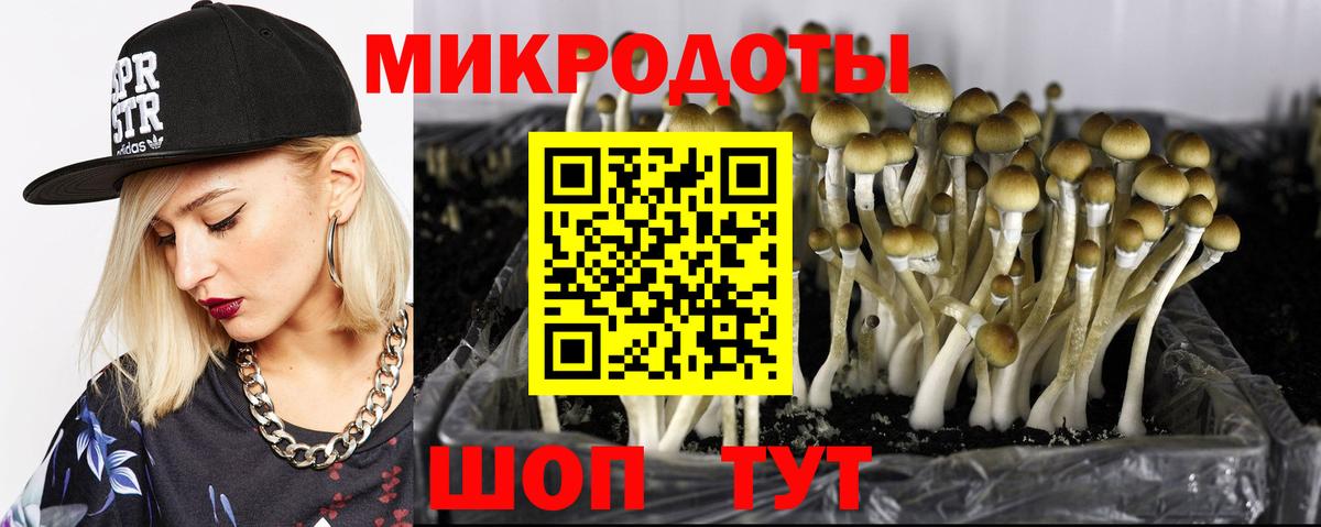 Галлюциногенные грибы мухоморы Сургут