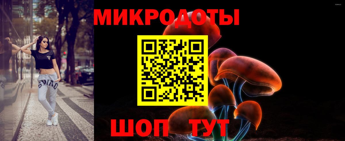 Сургут  Псилоцибиновые грибы прущие грибы  Вход с VPN  Псилоцибиновые грибы MAGIC MUSHROOMS 